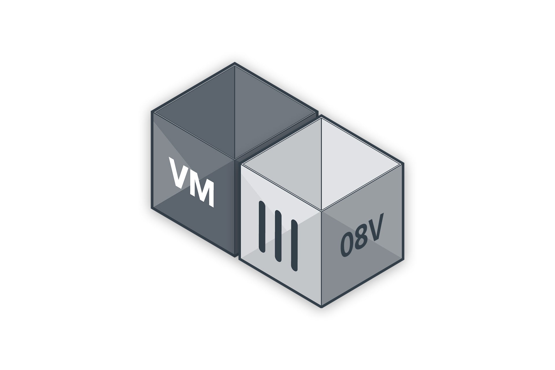 FortiGate-VM08V